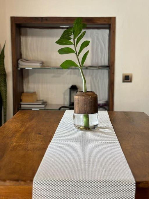 La Casa Vieja Villa Santa Cruz de Tenerife Eksteriør bilde